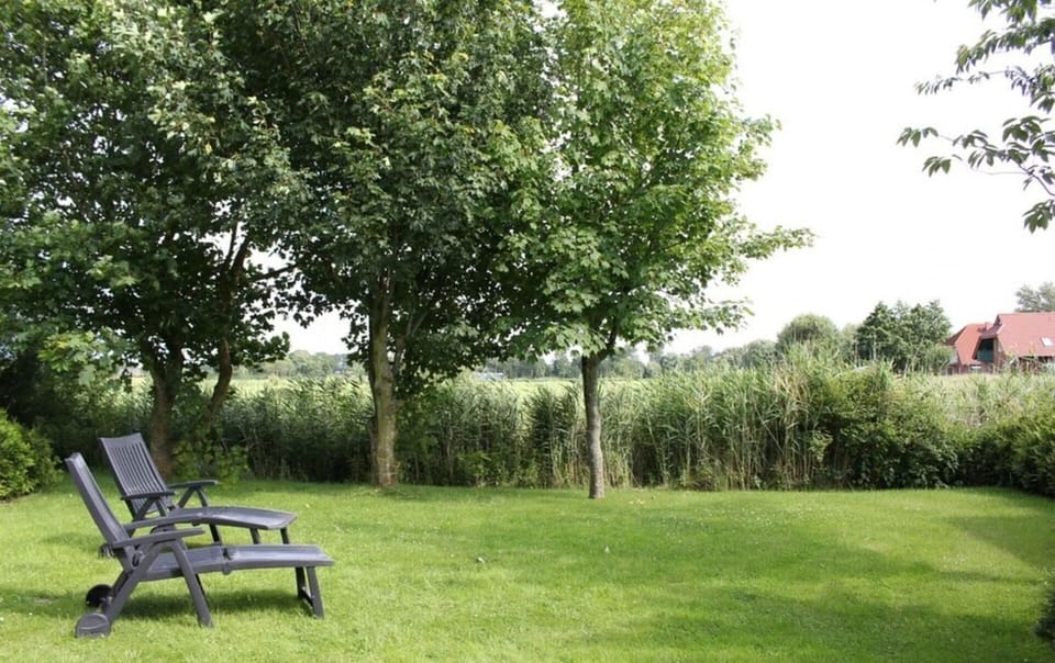 Property building, Garden