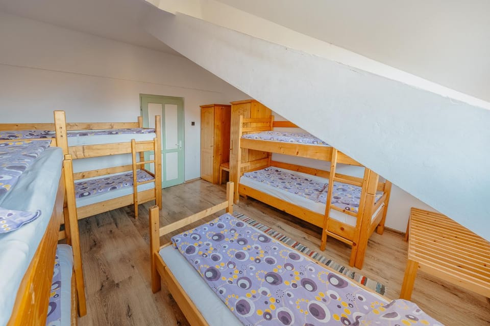 Bed, Photo of the whole room, bunk bed