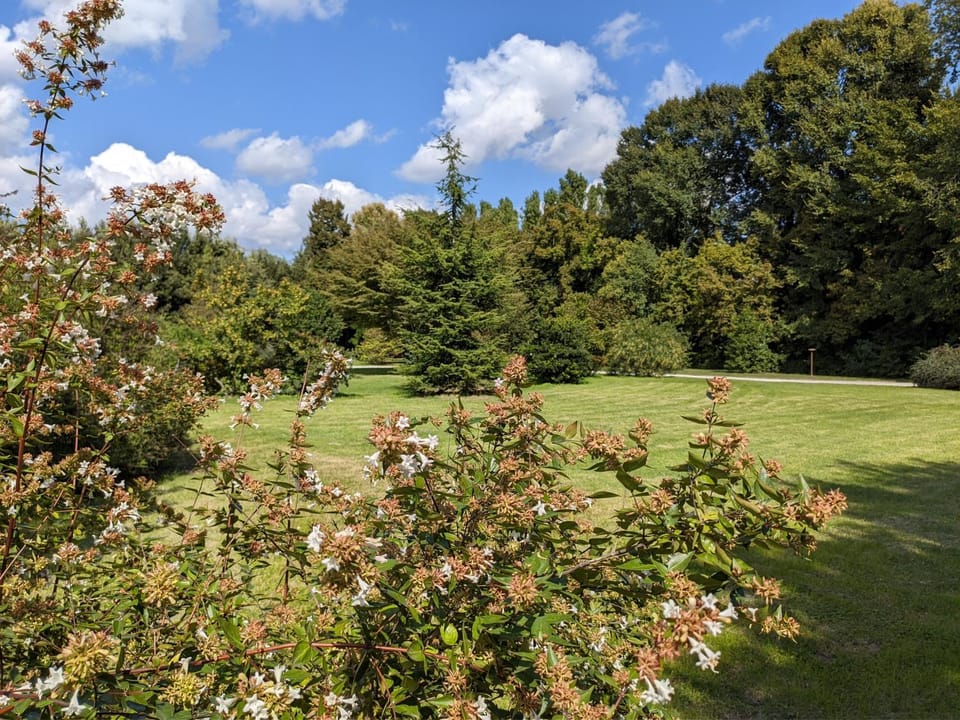 Natural landscape