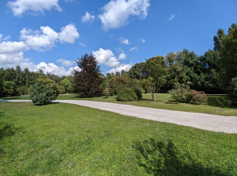 Garden view
