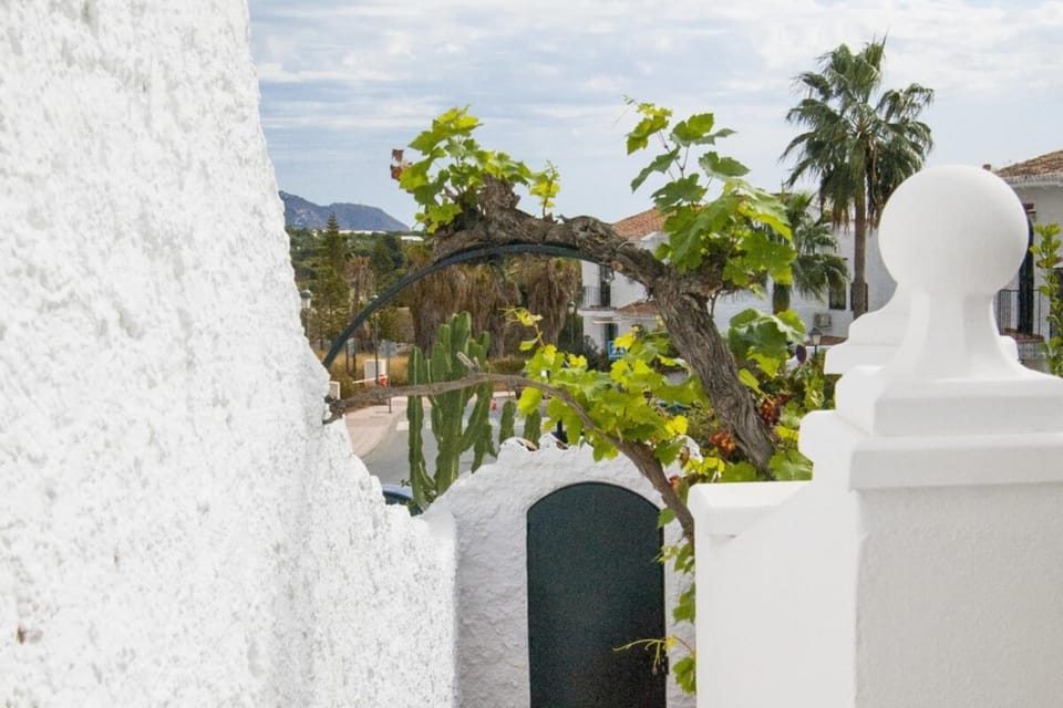 Los Crisantemos Family house with garden and pool House in Nerja