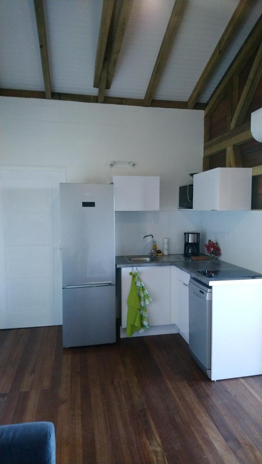 Kitchen or kitchenette, dishwasher, minibar, pet friendly, stove