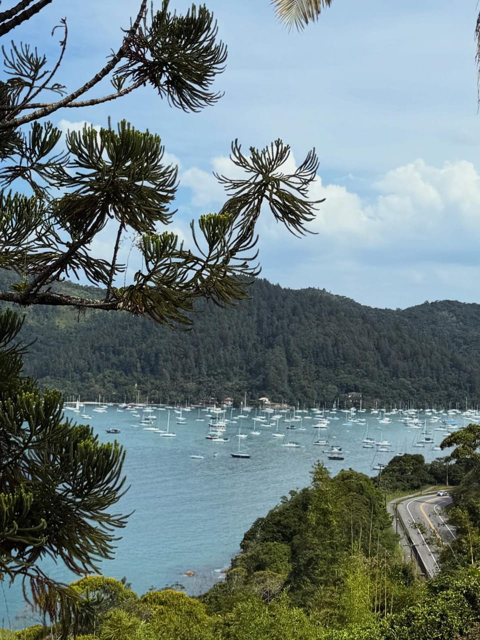 Sea view