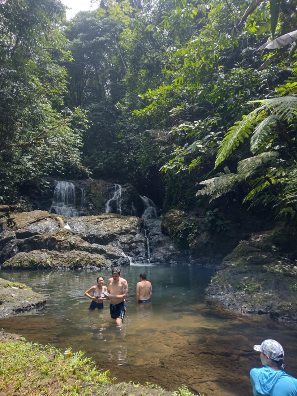 Eco Lodge&Farm Rustic Roots Reserve Farm Stay in Puntarenas Province