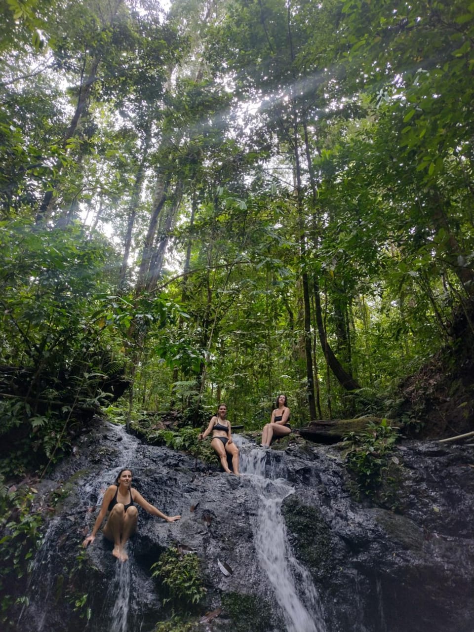 Eco Lodge&Farm Rustic Roots Reserve Farm Stay in Puntarenas Province