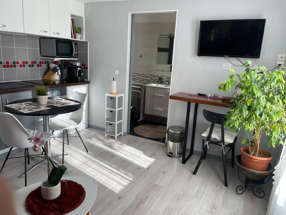 Studio Montagnac Apartment in Occitanie
