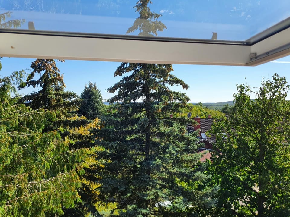 Natural landscape, Garden view