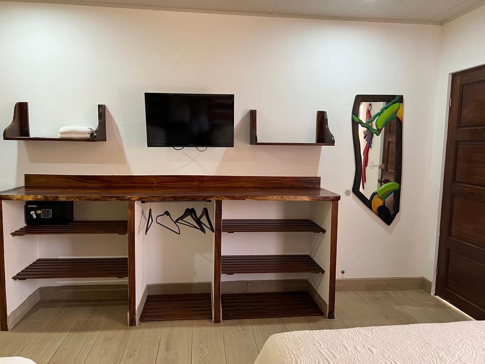 TV and multimedia