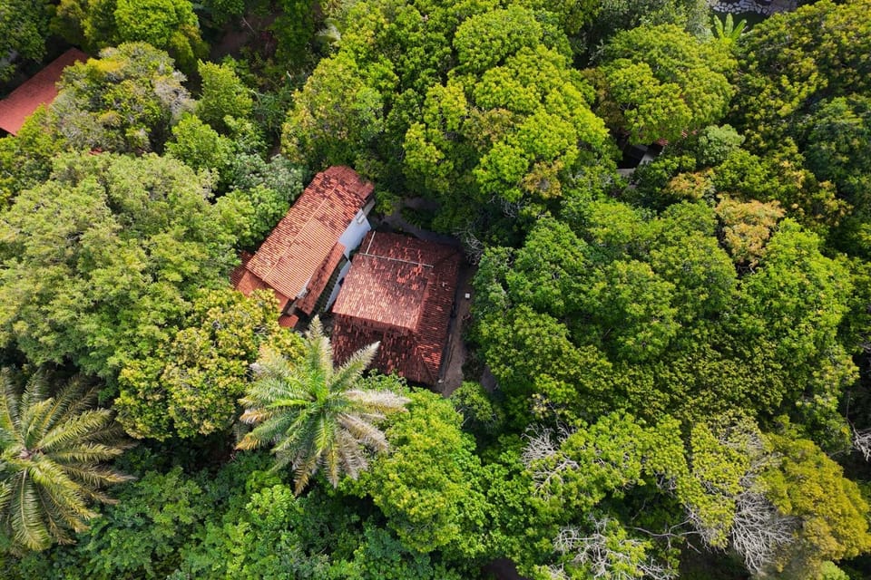 Bird's eye view, Garden