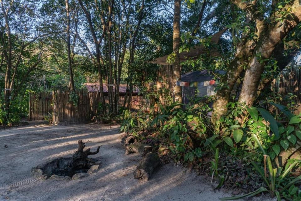 Natural landscape, Garden