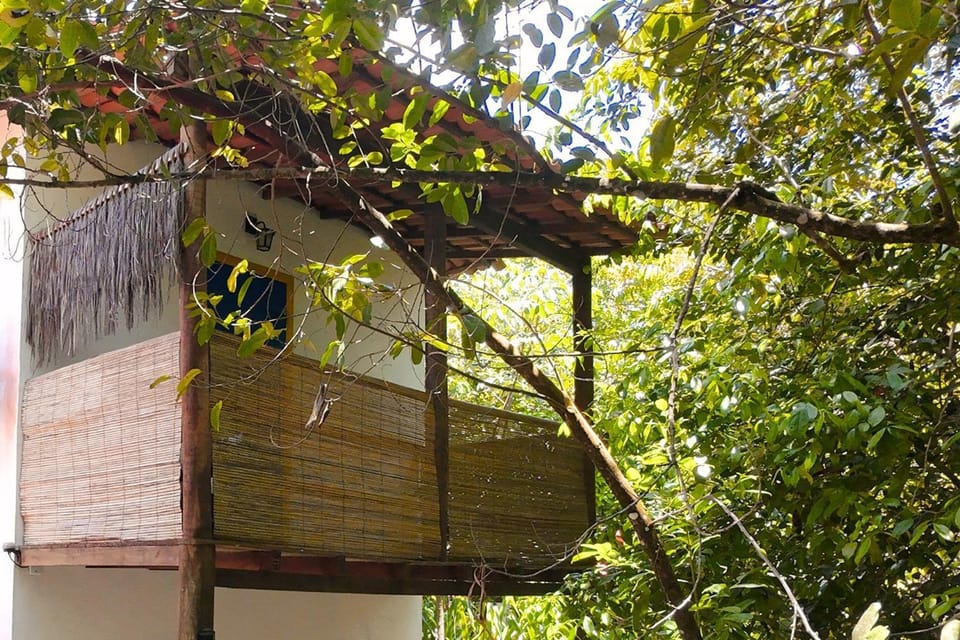 Balcony/Terrace, Garden view