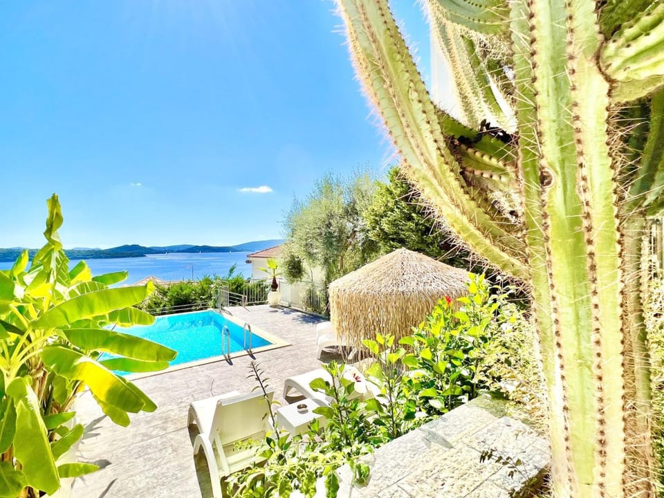 Garden, Garden, Other, Swimming pool