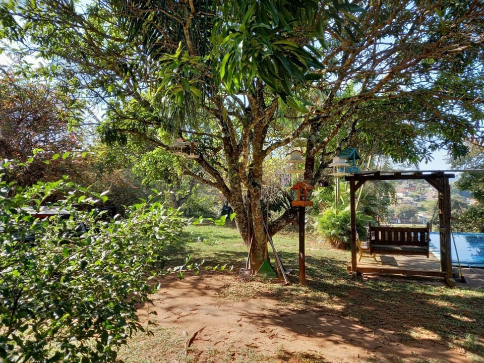Day, Natural landscape, Garden, Garden view