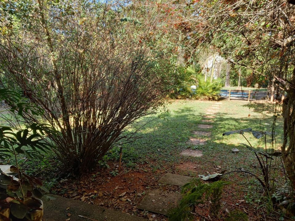 Natural landscape, Garden, Garden view