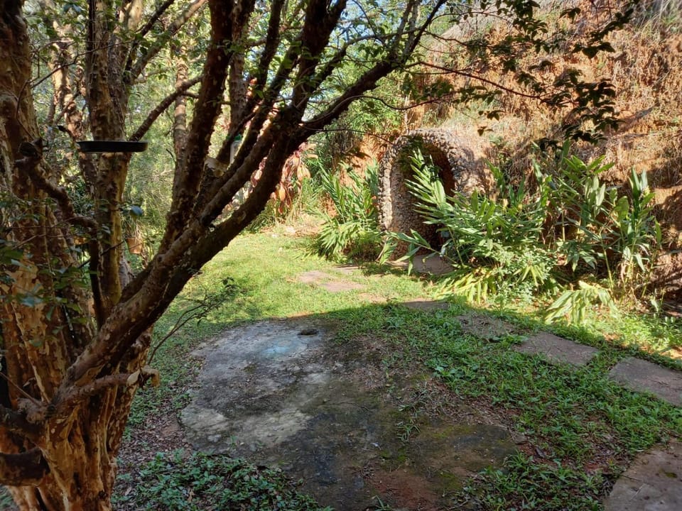 Day, Garden