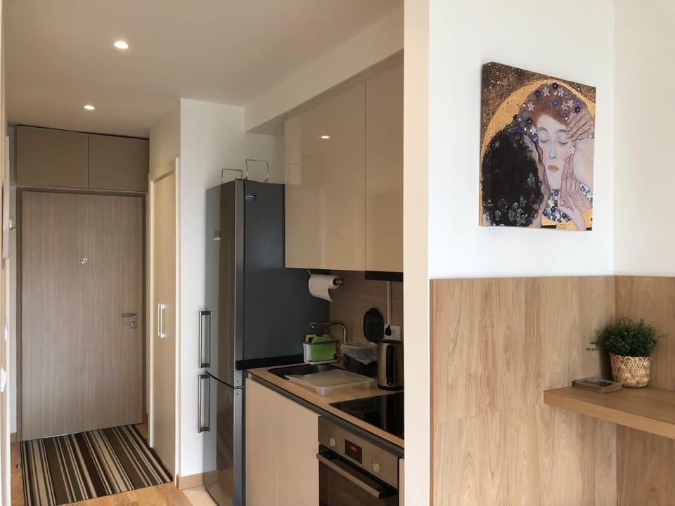 Cozy Belgrade Waterfront studio with Murphy bed Apartment in Belgrade