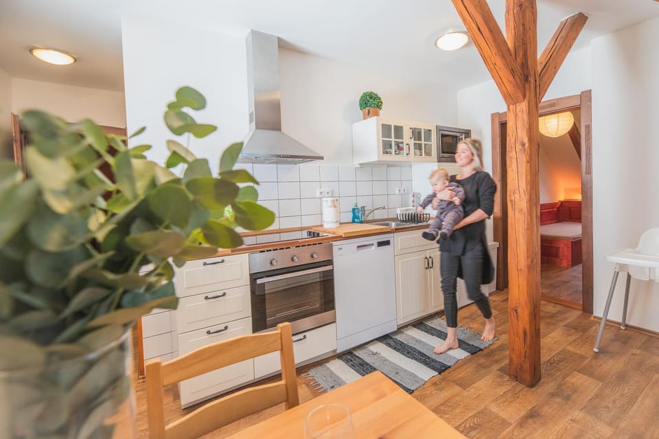 Kitchen or kitchenette, group of guests, dishwasher, minibar, pet friendly, stove
