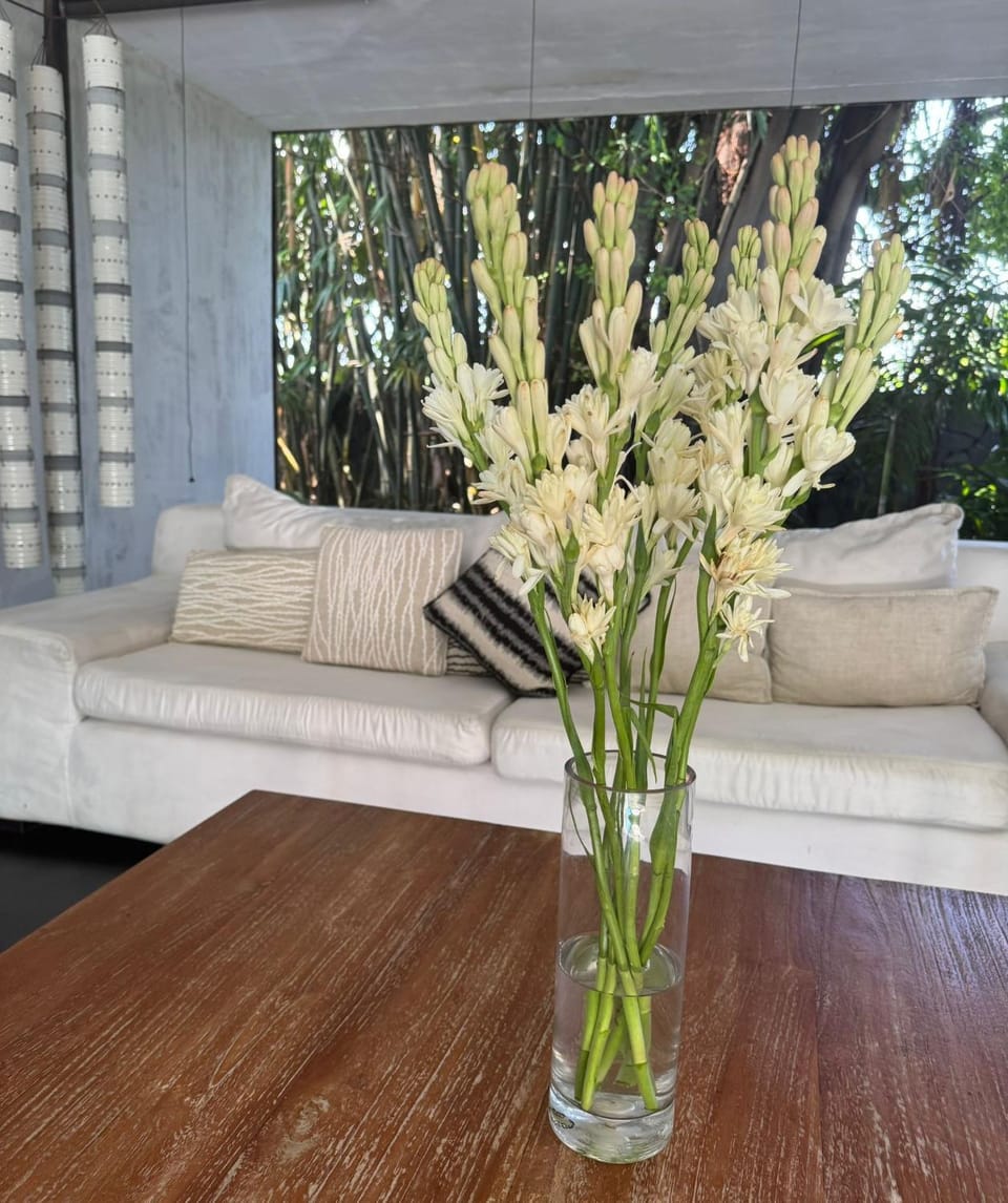 Unique architect-designed Villa & Tropical garden in Seminyak Villa in Kuta