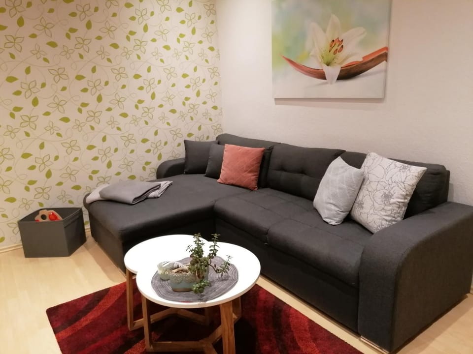 FeWo in Nähe zum Sachsenring am Fuße zum Erzgebirge Apartment in Erzgebirgskreis