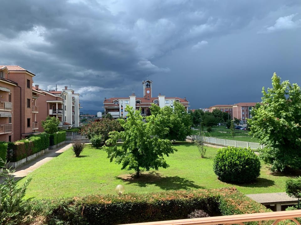 Day, Garden view