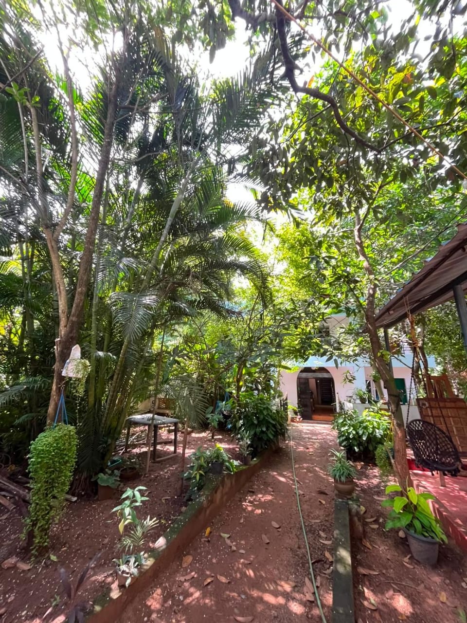 iha ayurveda resort Bed and Breakfast in Varkala