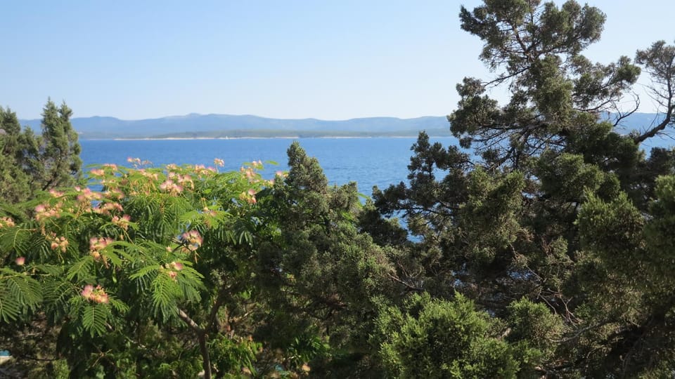 Natural landscape
