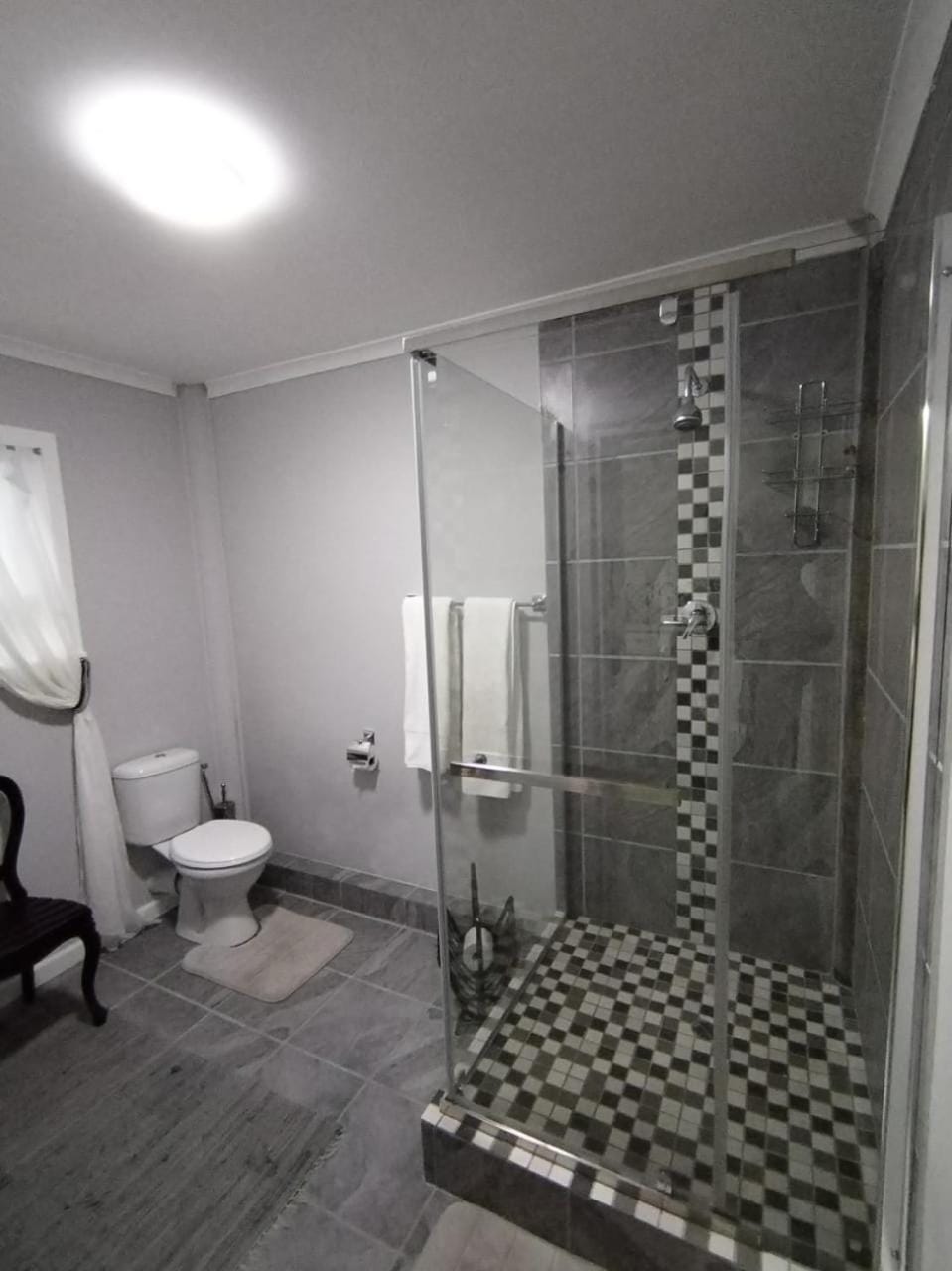 Shower, Toilet, towels
