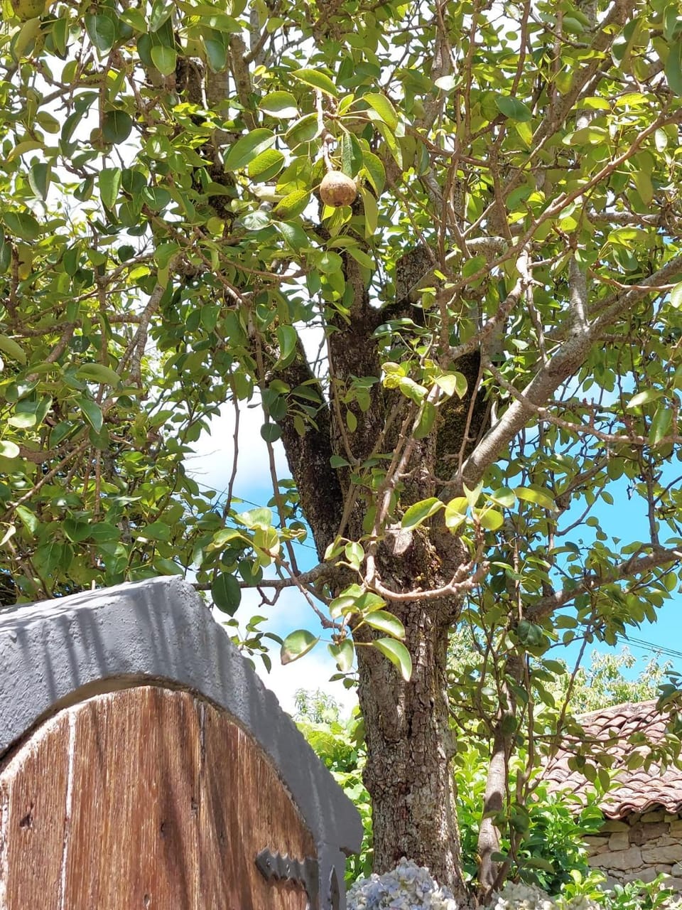 Casas de Maragouzos House in Galicia