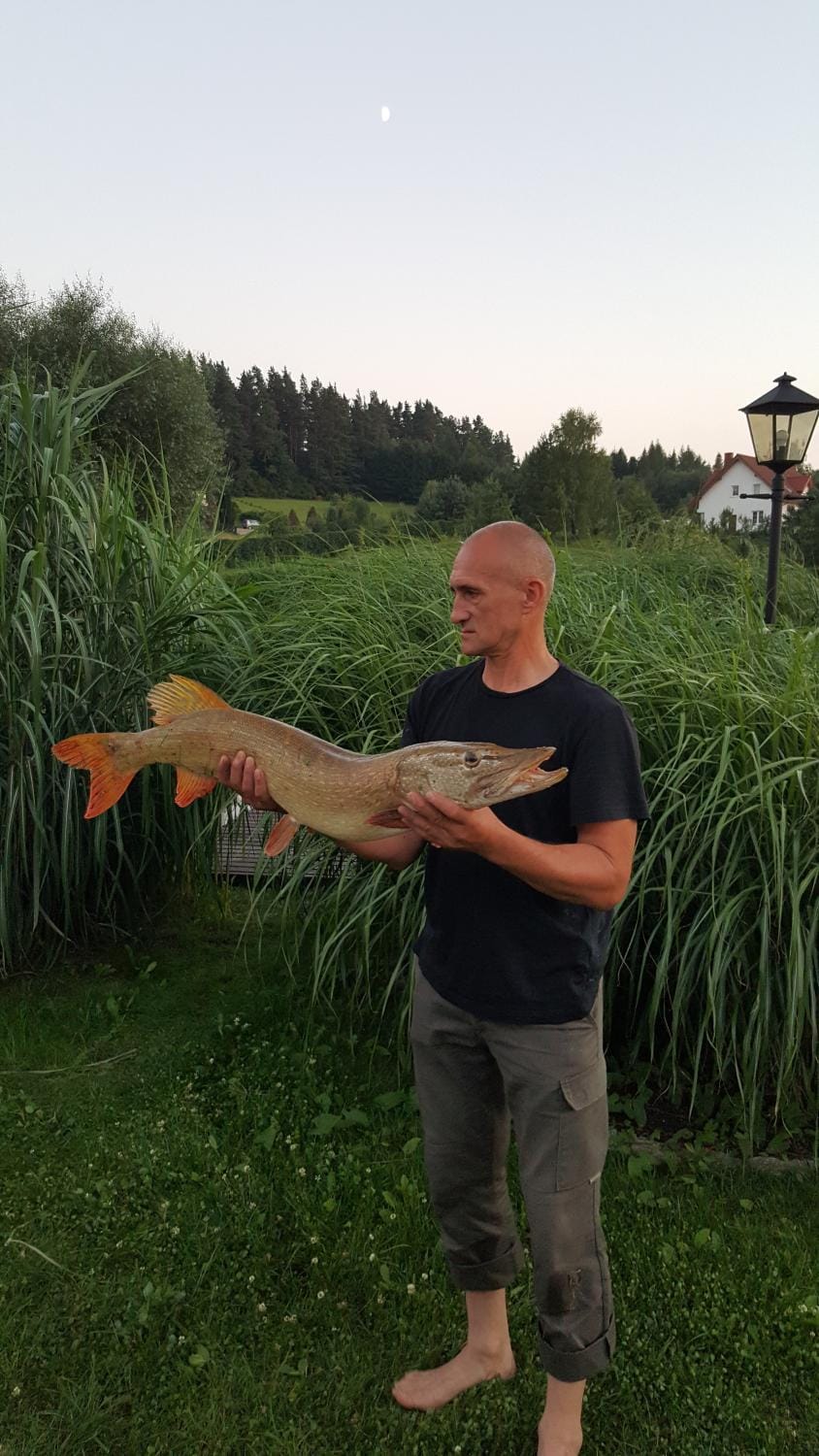 Fishing, Garden view
