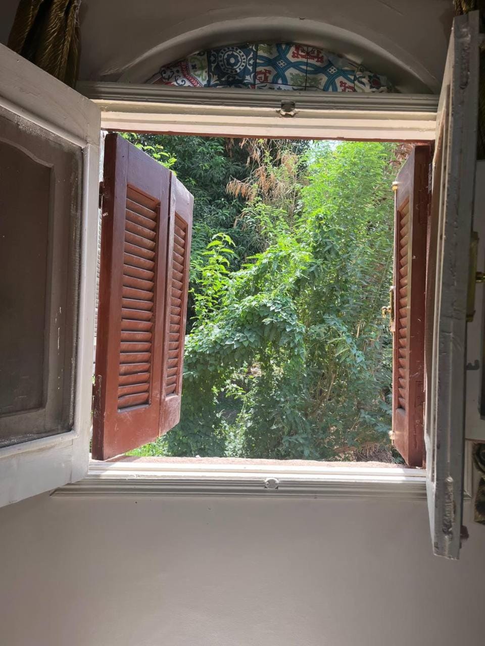 Spring, Day, Garden, Garden view
