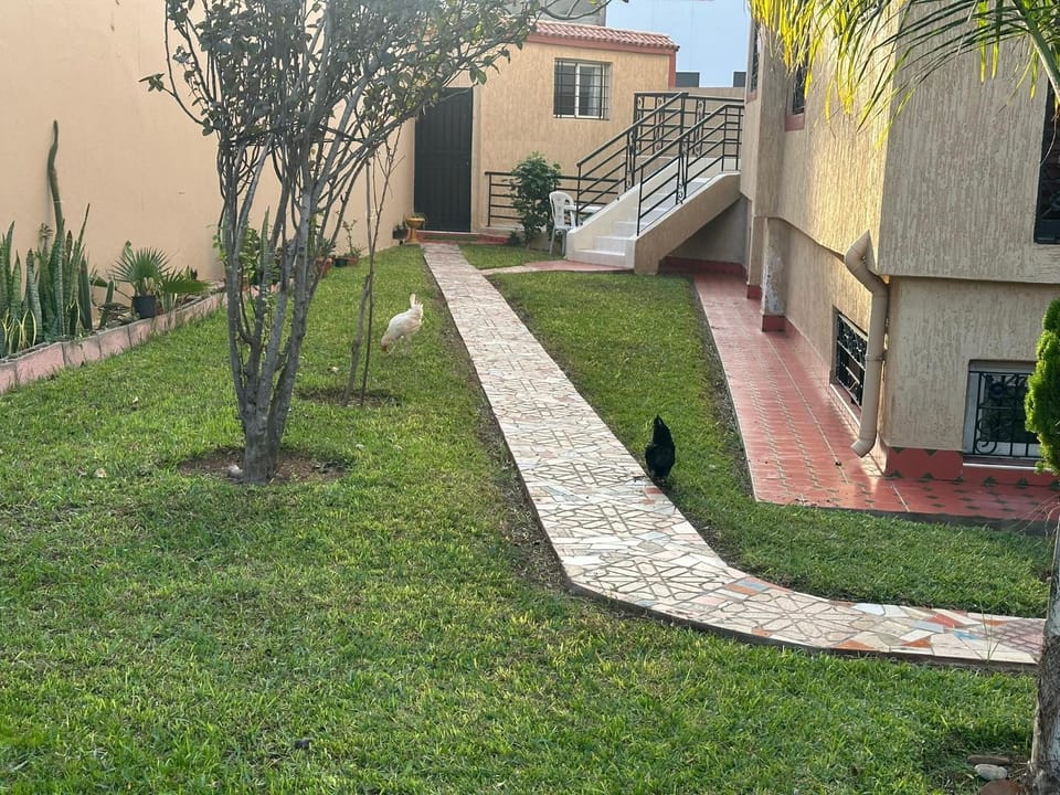 View (from property/room), Garden view