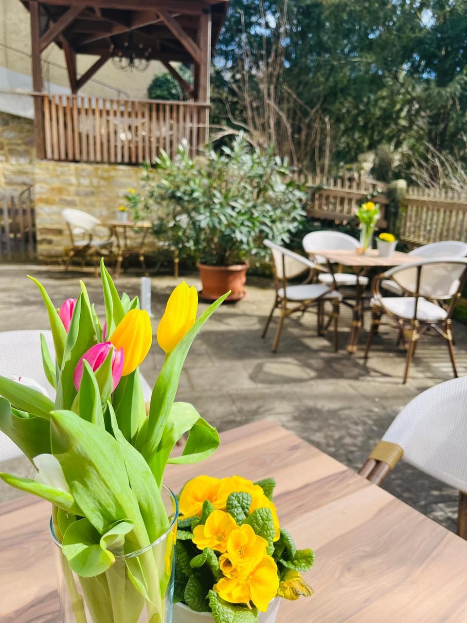 Ferienwohnungen an der Salvatorkirche - Exklusiv-Apartments mit Terrasse Apartment in Coburg