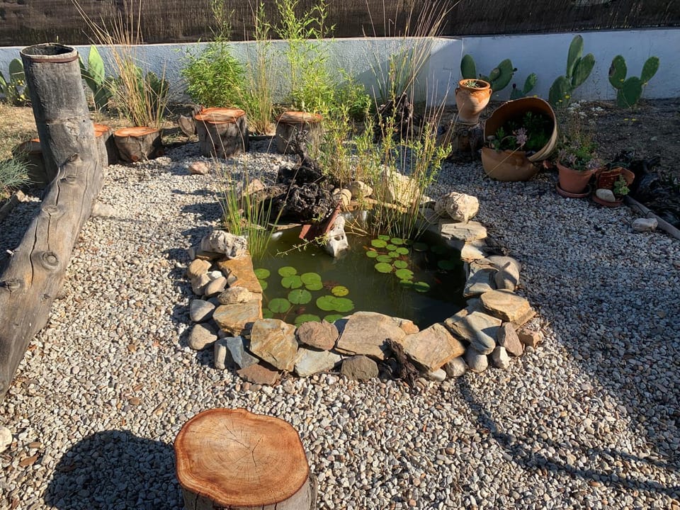 Day, Garden
