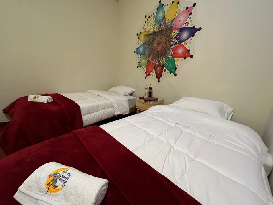 The Sleepy Mouse Hostel in Cusco