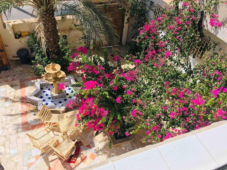 Garden, Garden view