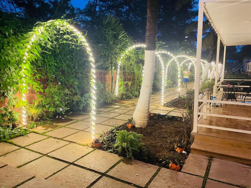 Night, Garden