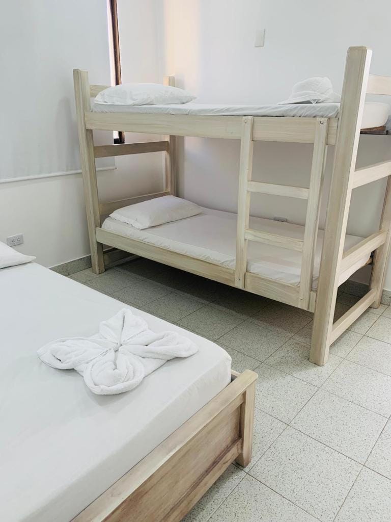 Bed, Photo of the whole room, Bedroom, bunk bed