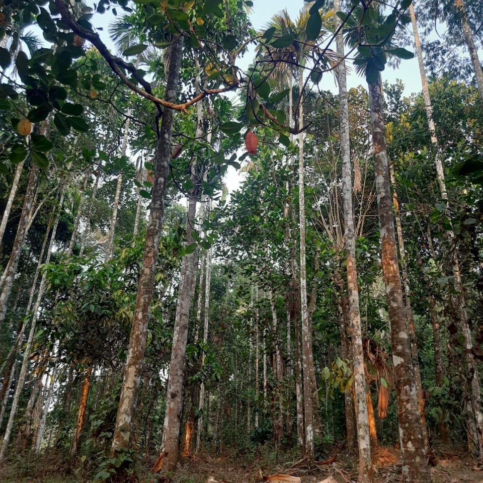 Natural landscape