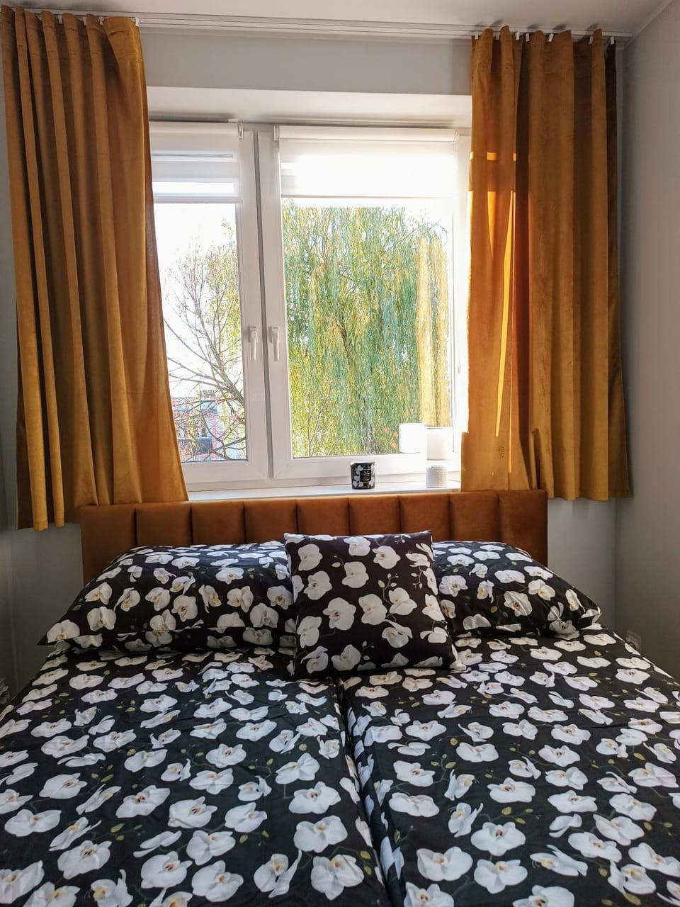 Bursztynowy Apartament Apartment in Czechia