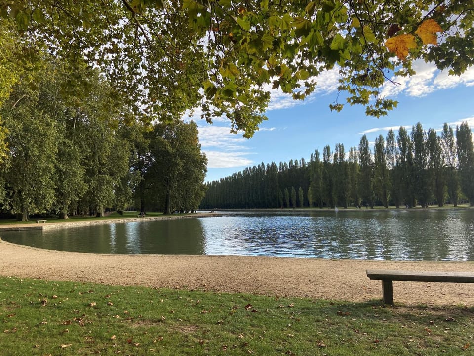 Lake view