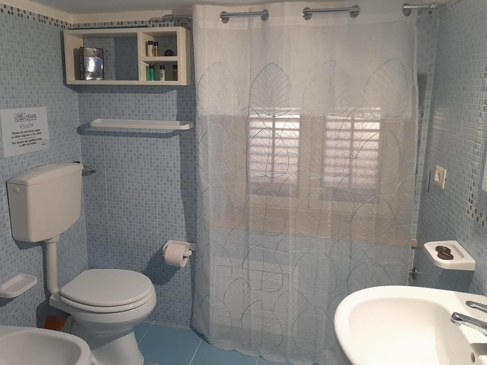 Shower, Toilet, Bathroom, bidet