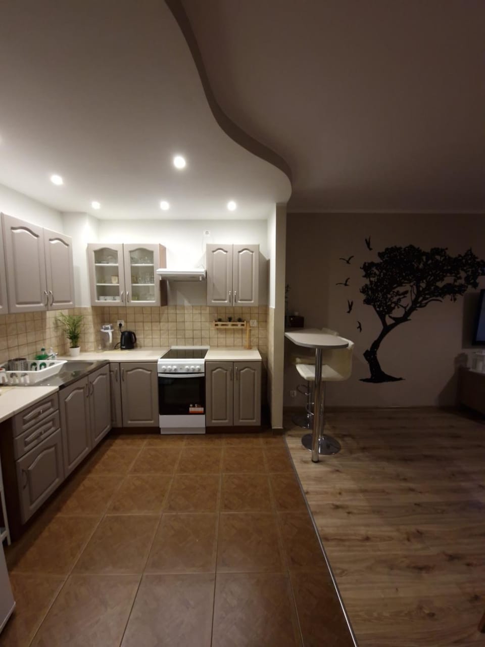 Kitchen or kitchenette
