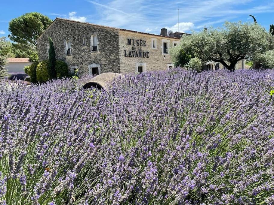 Le Dourmidou - Gite clôturé avec piscine chauffée, au pied du Luberon House in Provence-Alpes-Côte d'Azur