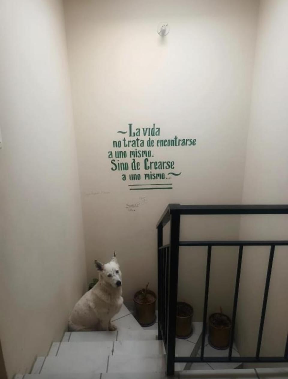 Airport Hostel Vacation rental in Ciudad Juarez