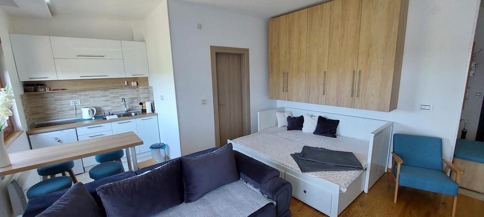 Kitchen or kitchenette, Living room, Photo of the whole room, Seating area, wardrobe