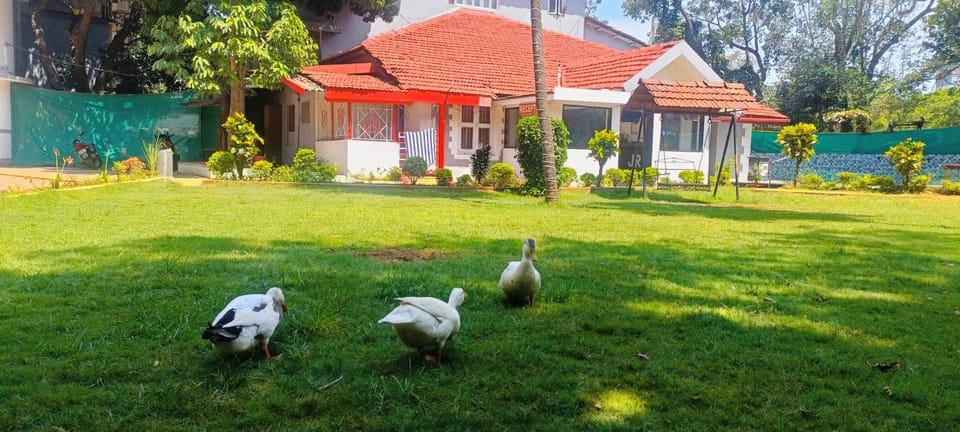 Property building, Garden