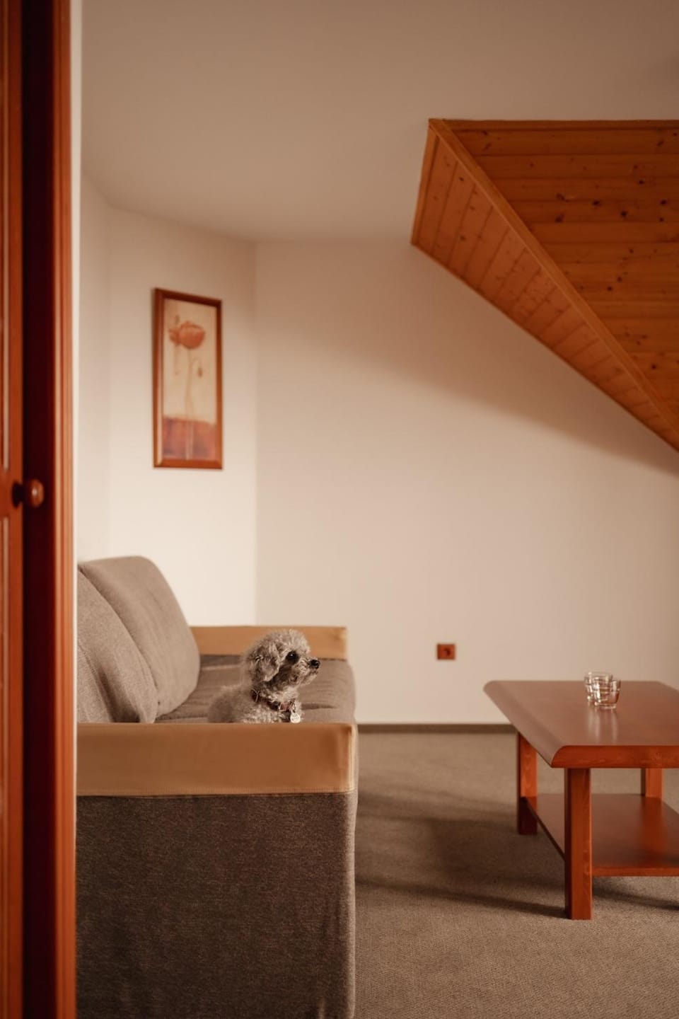 Penzion Mikulčin vrch Bed and Breakfast in Slovakia