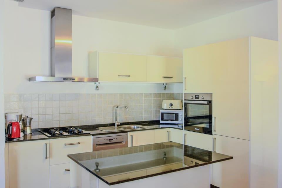 Kitchen or kitchenette, dishwasher, stove, toaster