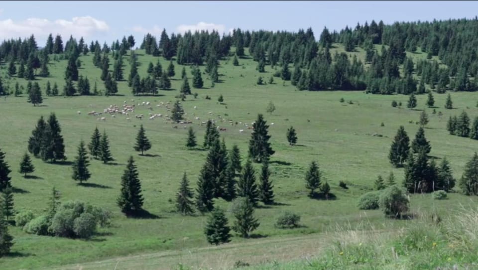 Natural landscape