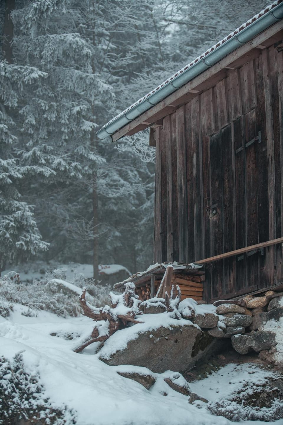 Property building, Winter